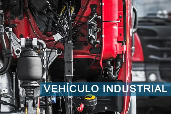 Vehículo Industrial